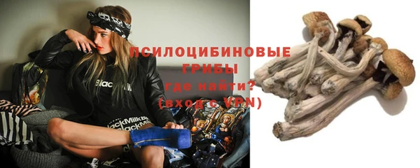 индика Гусь-Хрустальный