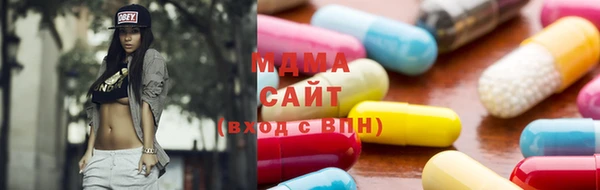 индика Гусь-Хрустальный