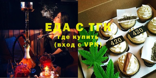 индика Гусь-Хрустальный