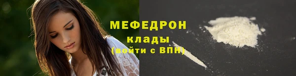 индика Гусь-Хрустальный