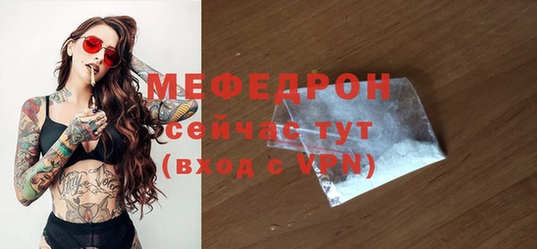 индика Гусь-Хрустальный