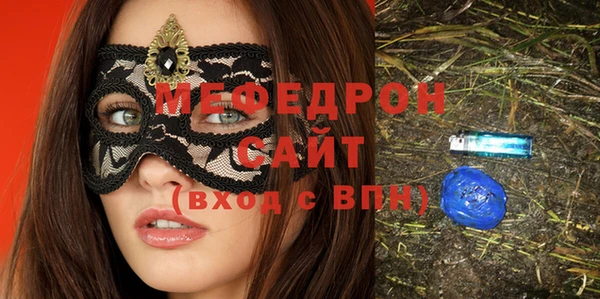 индика Гусь-Хрустальный