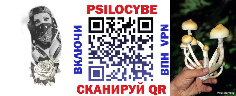 Галлюциногенные грибы Cubensis  Купить  Очёр 